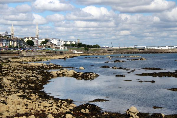 DUBLIN COASTAL BIOBLITZ 2025 - thumbnail